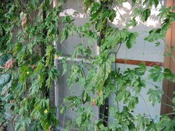 Image8172.jpg
